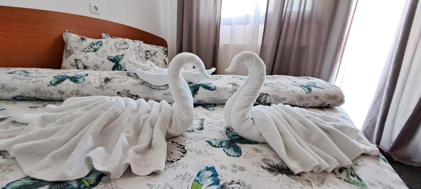 Hotel Pescarus Port 比卡兹 外观 照片